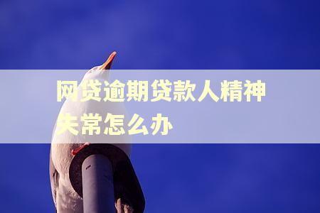 网贷逾期贷款人精神失常怎么办