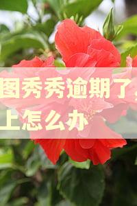 美图秀秀逾期了,还不上怎么办