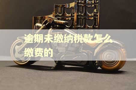逾期未缴纳税款怎么缴费的