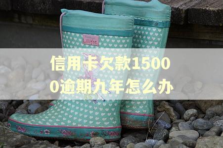 信用卡欠款15000逾期九年怎么办
