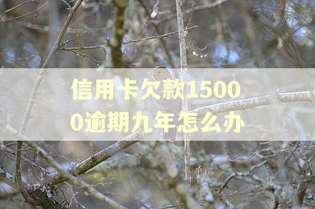 信用卡欠款15000逾期九年怎么办