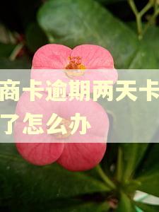 工商卡逾期两天卡被锁了怎么办