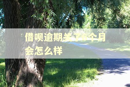 借呗逾期关了6个月会怎么样