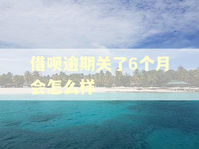 借呗逾期关了6个月会怎么样