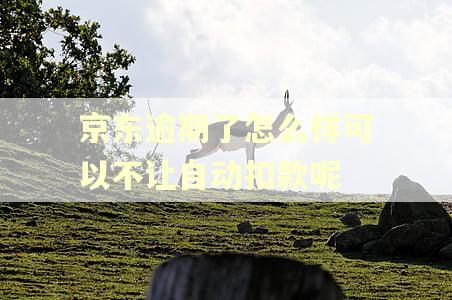 京东逾期了怎么样可以不让自动扣款呢
