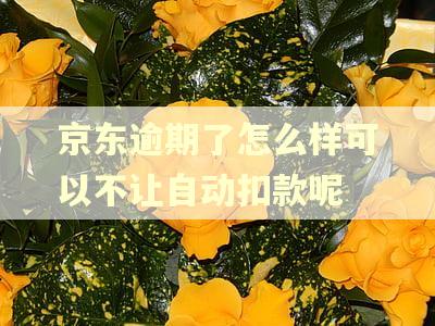 京东逾期了怎么样可以不让自动扣款呢