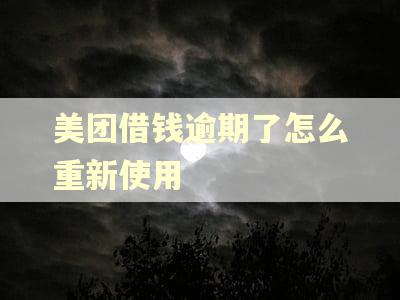 美团借钱逾期了怎么重新使用