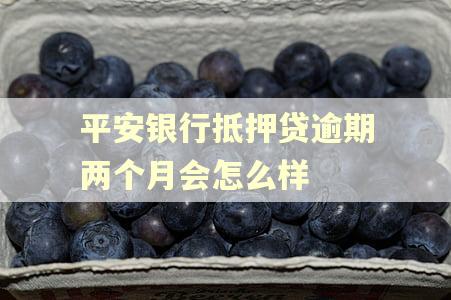平安银行抵押贷逾期两个月会怎么样