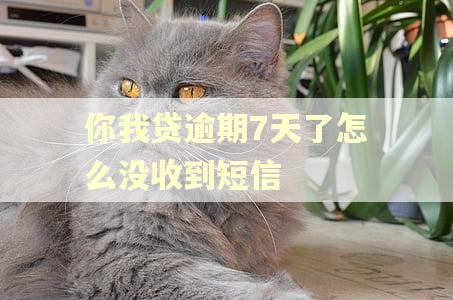 你我贷逾期7天了怎么没收到短信