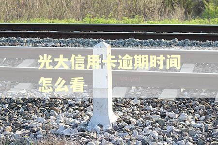 光大信用卡逾期时间怎么看