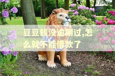 豆豆钱没逾期过,怎么就不能借款了