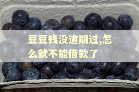 豆豆钱没逾期过,怎么就不能借款了