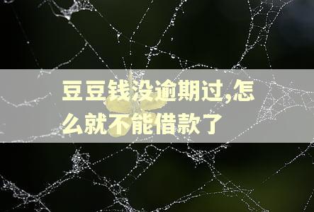 豆豆钱没逾期过,怎么就不能借款了 豆豆钱没逾期过,怎么就不能借款了