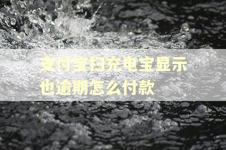 支付宝扫充电宝显示也逾期怎么付款