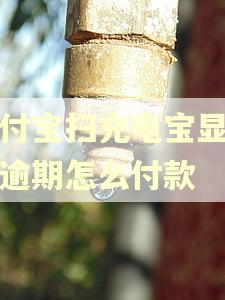 支付宝扫充电宝显示也逾期怎么付款