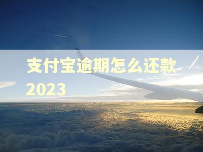 支付宝逾期怎么还款2023