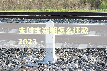支付宝逾期怎么还款2023