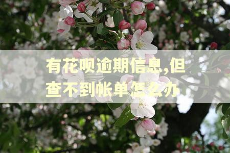 有花呗逾期信息,但查不到帐单怎么办