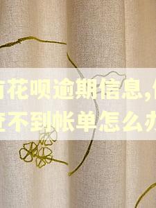 有花呗逾期信息,但查不到帐单怎么办 有花呗逾期信息,但查不到帐单怎么办