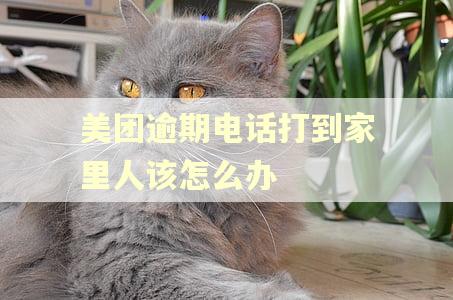 美团逾期电话打到家里人该怎么办