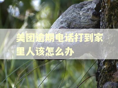 美团逾期电话打到家里人该怎么办
