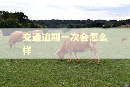 交通逾期一次会怎么样