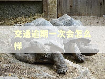 交通逾期一次会怎么样