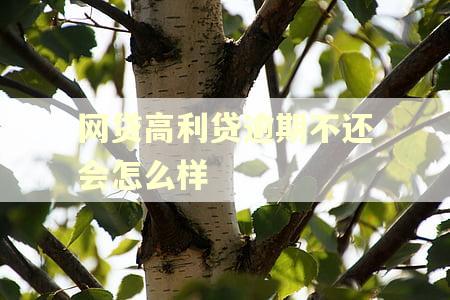 网贷高利贷逾期不还会怎么样 网贷高利贷逾期不还会怎么样