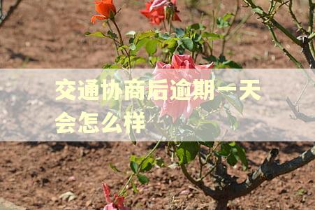 交通协商后逾期一天会怎么样 交通协商后逾期一天会怎么样