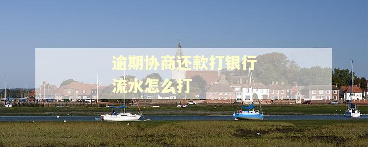 逾期协商还款打银行流水怎么打