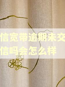 电信宽带逾期未交上征信吗会怎么样