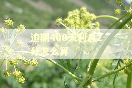 逾期400天利息2分怎么算