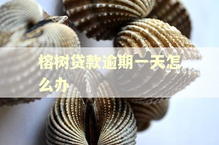 榕树贷款逾期一天怎么办