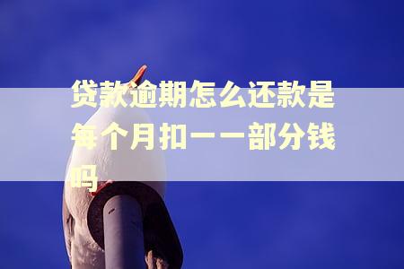 贷款逾期怎么还款是每个月扣一一部分钱吗