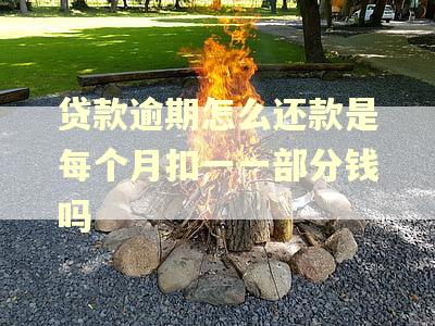 贷款逾期怎么还款是每个月扣一一部分钱吗