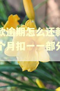 贷款逾期怎么还款是每个月扣一一部分钱吗