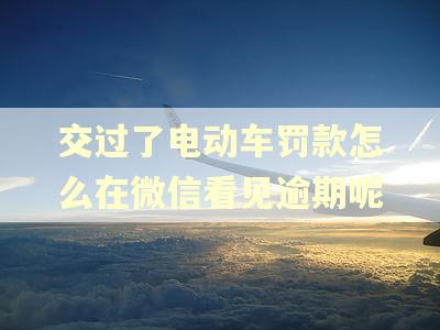 交过了电动车罚款怎么在微信看见逾期呢