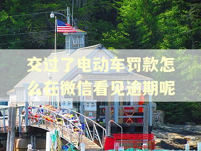 交过了电动车罚款怎么在微信看见逾期呢
