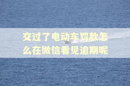 交过了电动车罚款怎么在微信看见逾期呢