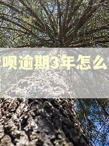 借呗逾期3年怎么协商