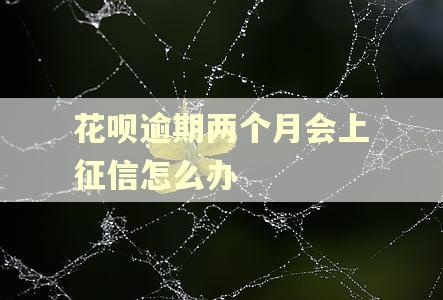 花呗逾期两个月会上征信怎么办