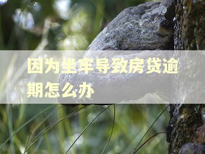 因为坐牢导致房贷逾期怎么办 因为坐牢导致房贷逾期怎么办