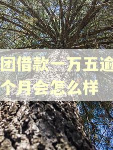 美团借款一万五逾期一个月会怎么样