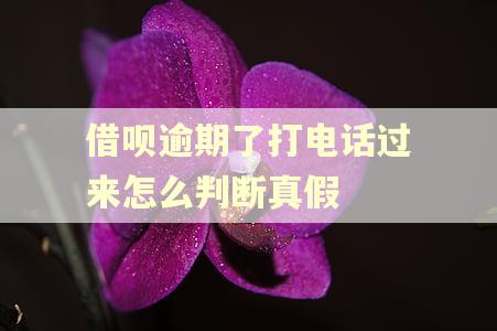 借呗逾期了打电话过来怎么判断真假