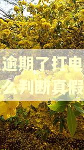 借呗逾期了打电话过来怎么判断真假