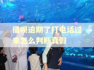 借呗逾期了打电话过来怎么判断真假