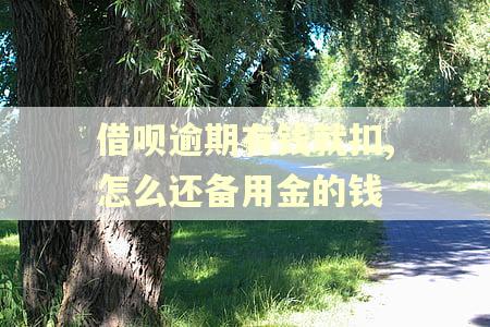 借呗逾期有钱就扣,怎么还备用金的钱 借呗逾期有钱就扣,怎么还备用金的钱