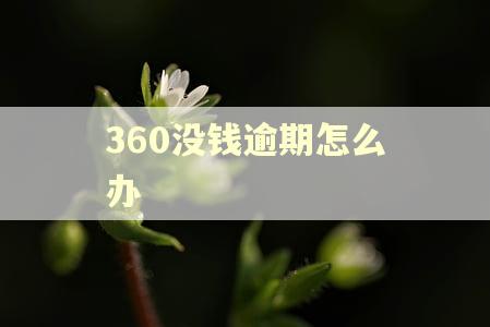 360没钱逾期怎么办
