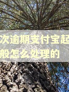 二次逾期支付宝起诉一般怎么处理的