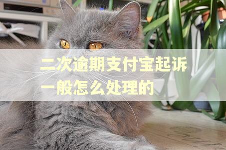 二次逾期支付宝起诉一般怎么处理的